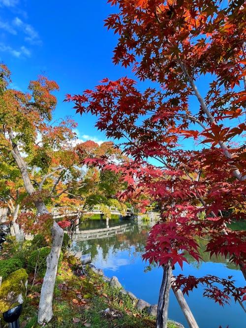 秋の京都へ３日目の１　永観堂　南禅寺
