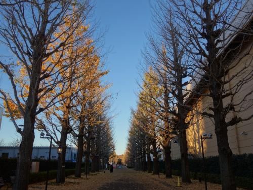 フォレスト・イン昭和館（オークラホテルズ＆リゾーツ）に関する旅行記・ブログ【フォートラベル】|日野・昭島