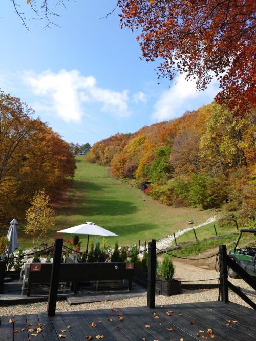 初、どこかにビューンで！大正ロマンと紅葉＆温泉コンボ★はじめての山形1泊2日★後編