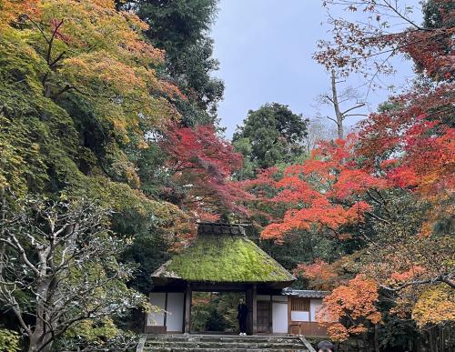 ③マダムの　絶景の京都　ライトアップと15社寺めぐり３日間　１日目の３　～哲学の道～永観堂～法然院