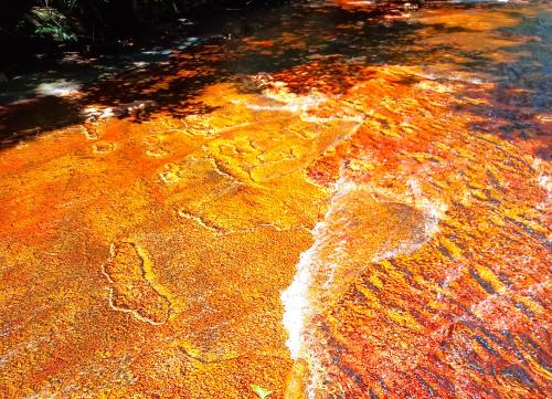 秘境ギアナ高地の旅(3)---サンタ・エレナからチバトン