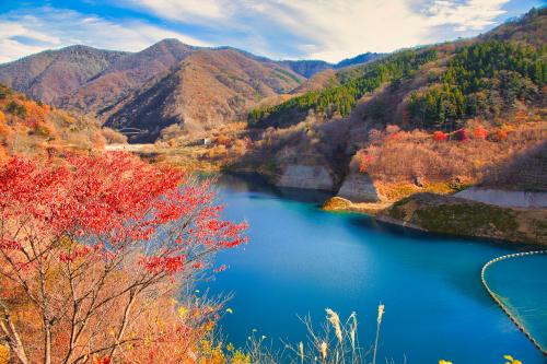 露天風呂で散りゆく紅葉を眺める旅。晩秋の四万温泉。（2日目）