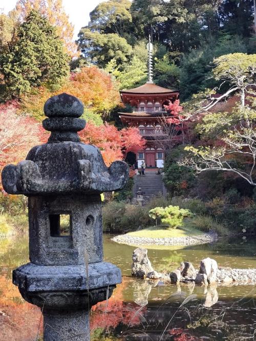 近鉄フリー切符奈良飛鳥で行く浄瑠璃寺・岩船寺