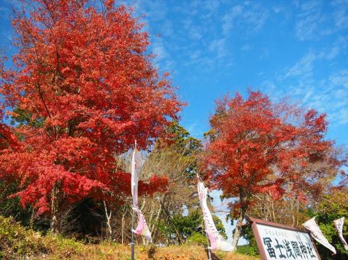 静岡県のジオパークと古墳・神社めぐり ④神社や滝に寄り道しながら帰宅