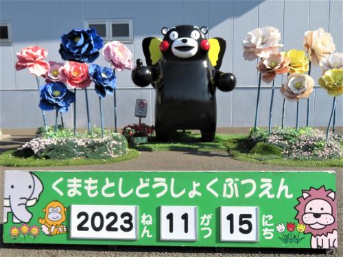 ついに熊本宮崎鹿児島レッサーパンダ遠征５泊４日（１）ついに熊本デビュー：アクセス・駅前スーパーホテル泊＆熊本市動植物園アクセス＆いろいろ