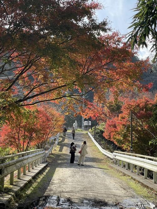 晩秋の房総へ