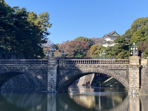 2023年11月　秋季皇居乾通り一般公開