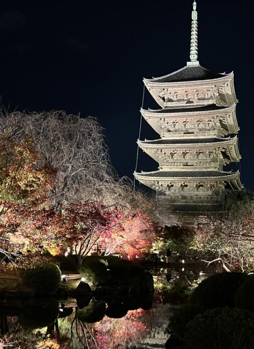 ⑳マダムの　絶景の京都　ライトアップと15社寺めぐり３日間　３日目の６　東寺ライトアップ～夕食～東京へ