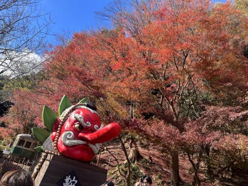 4年ぶり京都&#11088;︎幼なじみ3人旅