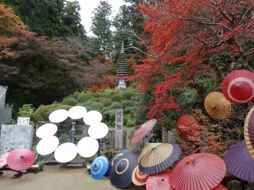 奈良の紅葉めぐり（岡寺、談山神社、長谷寺、室生寺）