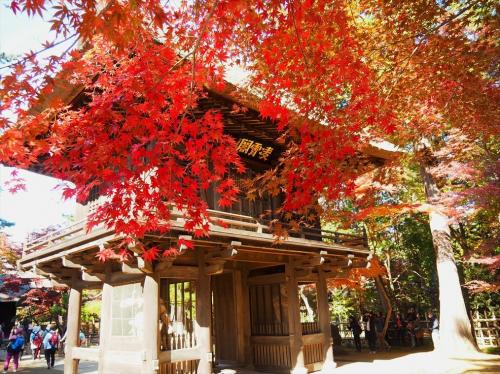 都幾山慈光寺と金鳳山平林寺の紅葉