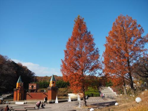 武蔵丘陵森林公園の紅葉