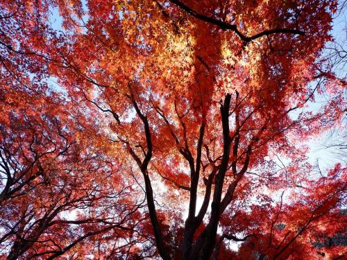 比叡山を見に石清水八幡宮へ