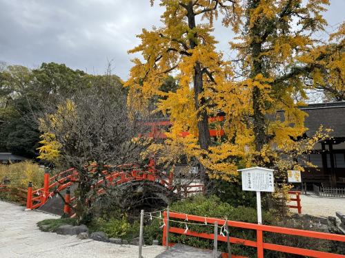 紅葉の京都（１）　～八瀬もみじ回廊から下鴨神社へ～