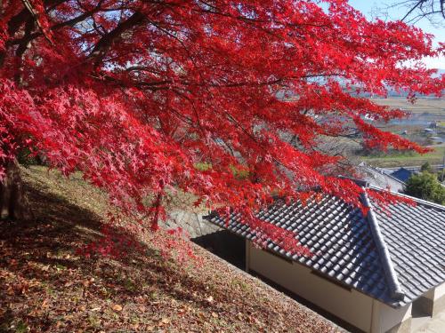 三室の山の紅葉は、竜田の川の、錦なりけり。