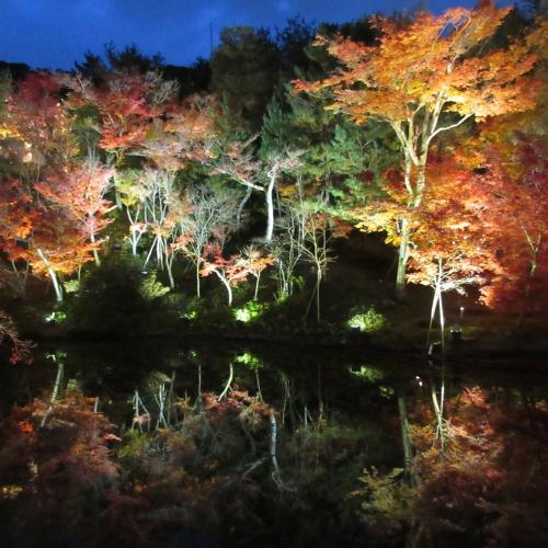 2023年・師走の京都「紅葉狩り」に ギリギリで間に合う旅
