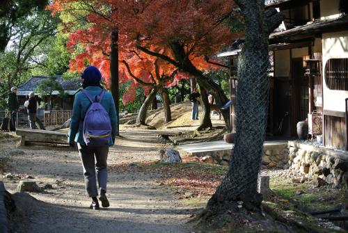 もみじと鹿と、高速餅つき