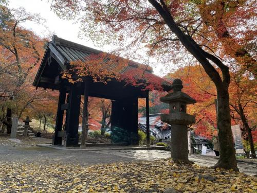 秋月の紅葉・小石原