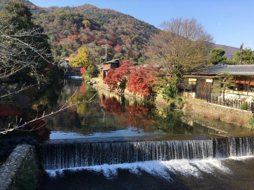 秋の晴れた日曜　嵐山トロッコに乗るのは無理でしょうか？