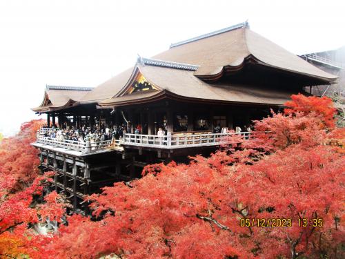 奈良・京都 １１の紅葉名所を巡る旅：その３．「 清水寺」