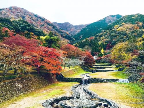 愛車ラストランで養老へ（石山寺＆すみ蔵＆養老公園＆養老の滝）