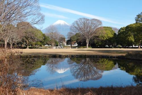 自転車でGO! 2023.12.20＝富士市内を富士山見ながらポタリング＝