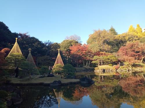 東京２０２３紅葉　【２】旧古河庭園
