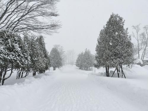 小樽と試飲