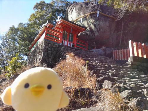 和歌山県 熊野三山と　三重県熊野エリアを　たびするトリ