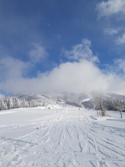 スキージャム勝山　最高のPOW！　ホテルハーヴェストスキージャム勝山2泊