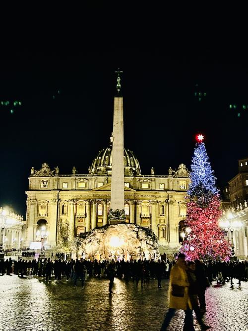 年末年始 憧れのイタリアへ ③バチカンのクリスマスライトアップ