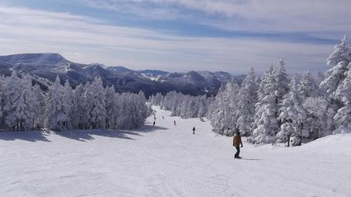 焼額山ースキーは楽しい