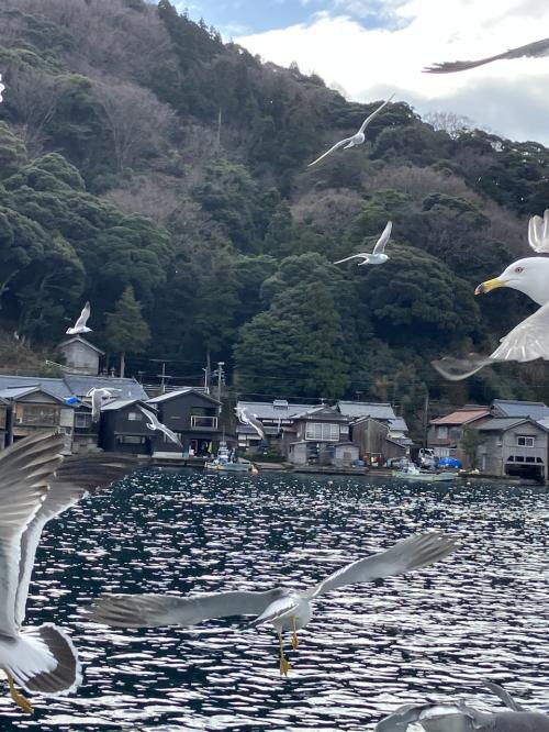 コナン空港から兵庫県の2名湯～天橋立、伊根へ2