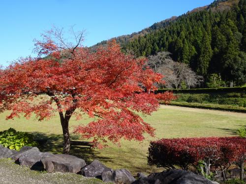 紅葉の絶景と美食の北陸２日間（１）