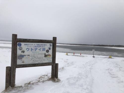 冬の北海道　1泊2日で千歳・ウトナイ湖へ（2日目　野生鳥獣保護センターの展示は凄い！）