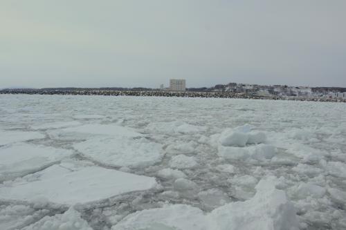 網走で砕氷船おーろらに乗って流氷観光