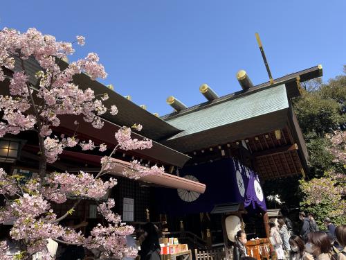 春の東京をぶらぶら ３月後編