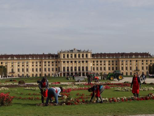 久々の欧州 素敵な建築巡って歩き倒しの旅（9）…ウィーンのラスボス「シェーンブルン」は宮殿だけじゃないの巻