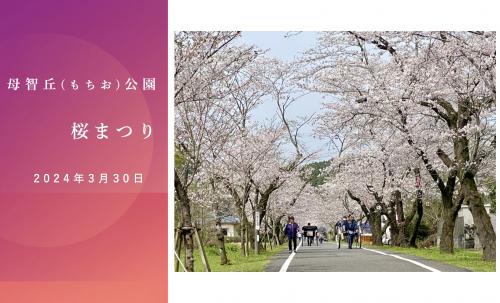 母智丘 (もちお) 公園 桜まつり2024 から 霧島酒造へ