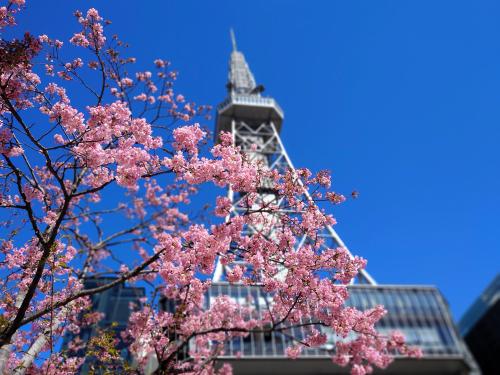 2024年冬 名古屋三大天神まいり（山田天満宮、上野天満宮、桜天神社）