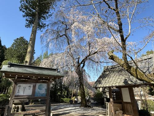 秩父三十四ヶ所札所観音霊場めぐり 4日目（27番大淵寺～30番法雲寺）