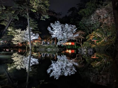 福井まで延伸した新幹線を利用して金沢、福井の桜と歴史の旅