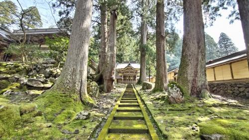 初登場☆福井 その２ 夜桜と永平寺