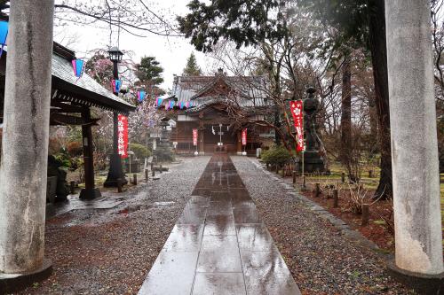 2024信州の桜③　雨の小諸城址・懐古園と軽井沢プリンスショッピングプラザ