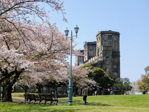 歴史と自然があふれる街 - 神奈川・横浜根岸 - ぶらり街歩き