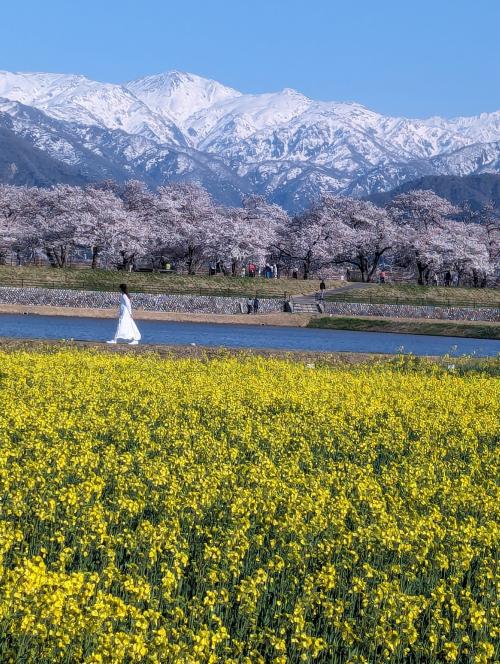 ４月の富山に行ってきました。