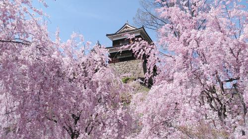 2024年4月14日～4泊5日　長野県の満開の桜、戸倉～上田城編　上田東急REI泊(前半編)