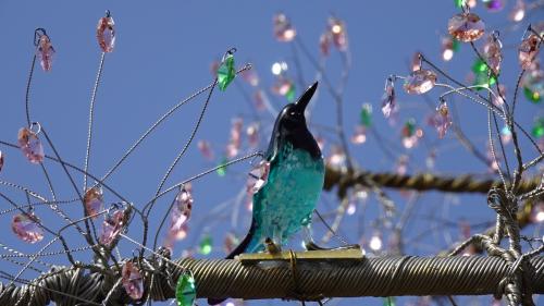 芦ノ湖シンボル「湖畔の一本桜」満開宣言