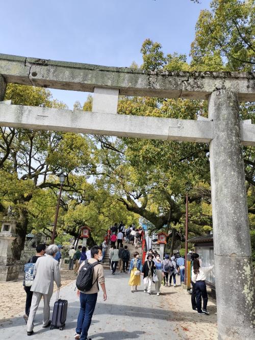 博多で柔道応援とグルメの旅