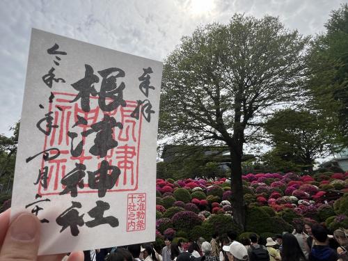 つつじまつり開催中の根津神社へ御朱印散歩